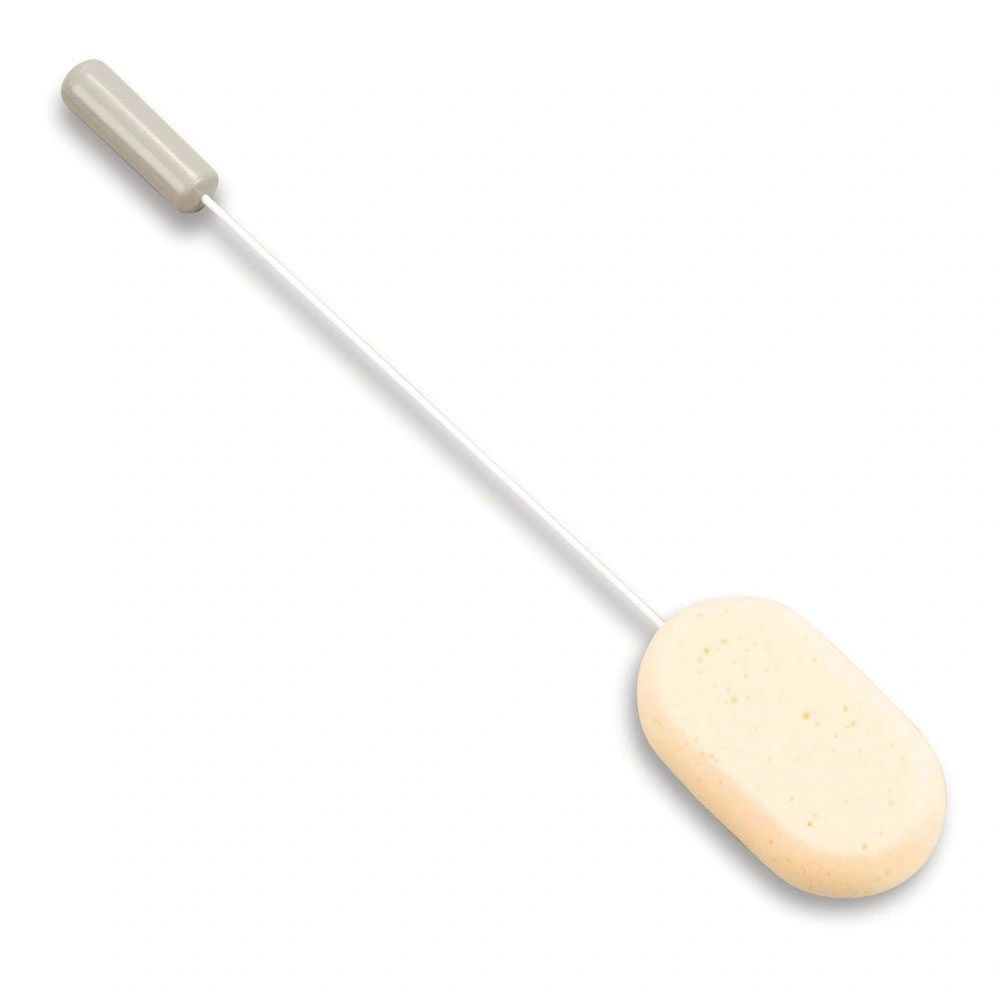 Long Handled Bathing Sponge